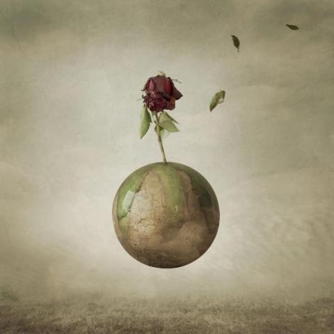 Image by Kelly Barker