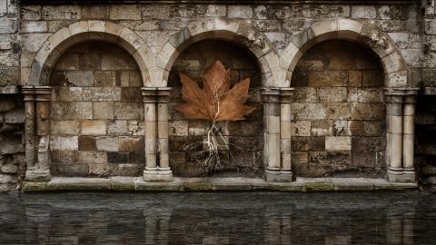 Image by Kelly Barker