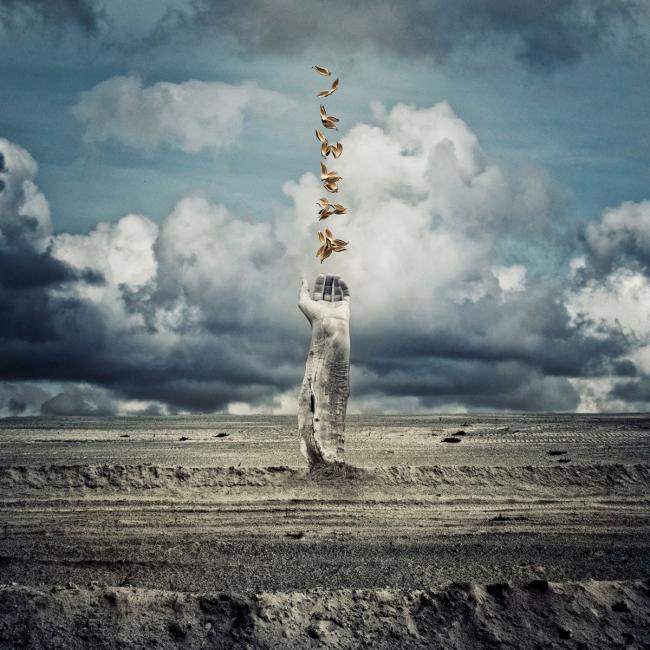 Image by Kelly Barker
