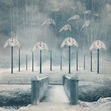 Image by Kelly Barker