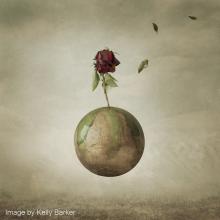 Image by Kelly Barker