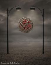 Image by Kelly Barker