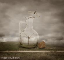 Image by Kelly Barker