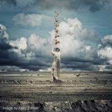 Image by Kelly Barker