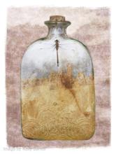 Image by Kelly Barker