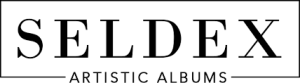 Seldex Logo